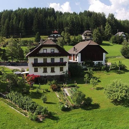 Appartement Haus Pfarrkirchner à Mauterndorf  Extérieur photo