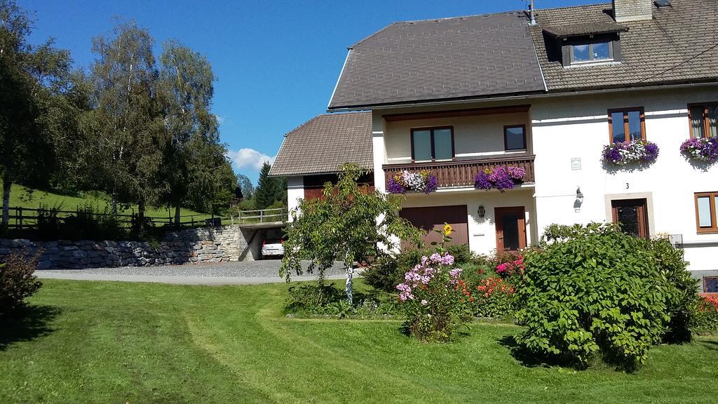 Appartement Haus Pfarrkirchner à Mauterndorf  Extérieur photo