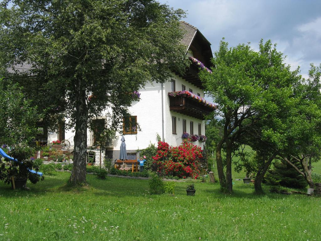 Appartement Haus Pfarrkirchner à Mauterndorf  Extérieur photo